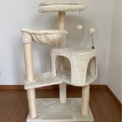 猫飼育用品一式