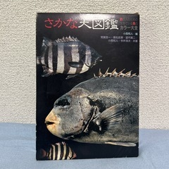 釣りサンデー　さかな大図鑑