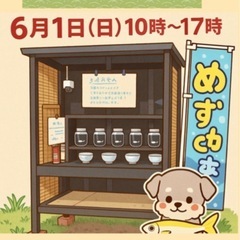 めだか　無人販売　6月1日　