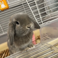 ※お話中※【約1歳】