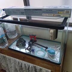 60センチ曲がり水槽美品🐠