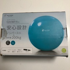 【美品】ジムボール　バランスボール　５５cm　空気入れ付き