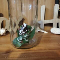 ガラス瓶入りカエルの画像