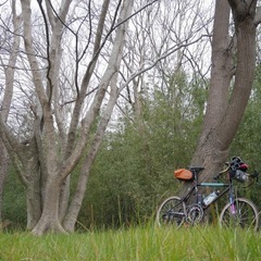 石川サイクリングロードをツーリング！