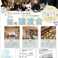 第10回猫の譲渡会
