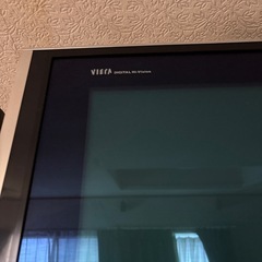 Panasonicプラズマテレビ50 インチ壁掛の画像