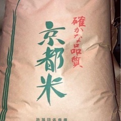 令和6年産 キヌヒカリ 玄米5キロ 京都産