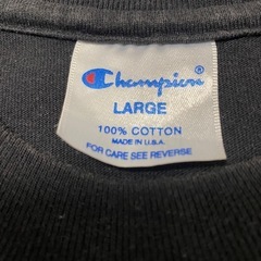 【USA製】90s Champion チャンピオン プリント tシャツ Lサイズの画像