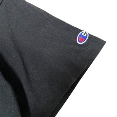 【USA製】90s Champion チャンピオン プリント tシャツ Lサイズの画像