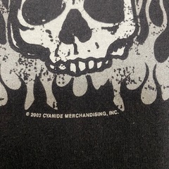 00´s Poison ポイズン ツアーTシャツ Lsizeの画像