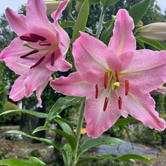 雨で暇です。寒いですね🥶