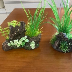 ※お気に入りしてる方やご興味ある方は早めのご連絡お願いします🙇🏻...