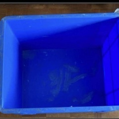 コンテナ箱　金魚　メダカ　濾過層　稚魚　　の画像
