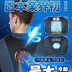 新品・未使用 ペルチェ ベスト 大冷却面 冷却ブレート付き 20000mAh大容量 静音&軽量の画像