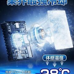 新品・未使用 ペルチェ ベスト 大冷却面 冷却ブレート付き 20000mAh大容量 静音&軽量の画像