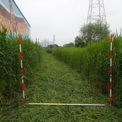 草刈り、伐採、造園、どこまでできるか一緒に試してみませんか？？の画像