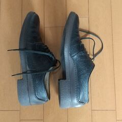 雨専用 国産  大塚製靴 （Bon Step）の画像