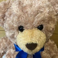 ダイソー　シールキャンペーン　くまのぬいぐるみ　ラージの画像