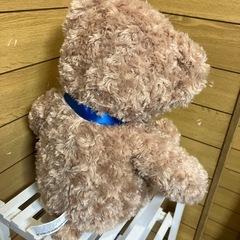 ダイソー　シールキャンペーン　くまのぬいぐるみ　ラージの画像