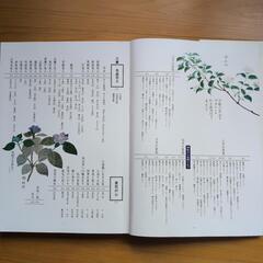 お茶の本　「茶花」の画像