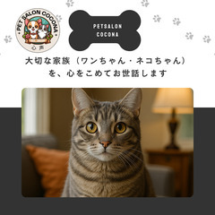 🐾大切な家族（ワンちゃん・ネコちゃん）を、心をこめてお世話…