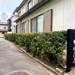 庭の剪定いたします！【無料見積り・格安対応・福岡県】 - 福岡市