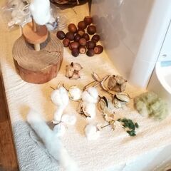わた糸紡ぎカフェの画像