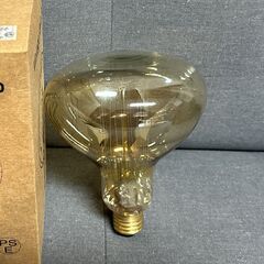 エジソン電球　パート６