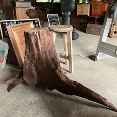 什器　切り株　状態良子　植物　テラリウム