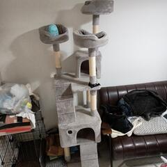 キャットタワー