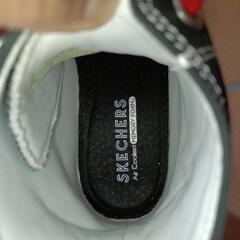 スケッチャーズ 厚底 25cmの画像