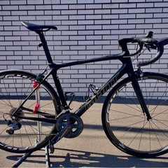 パワーメーター　TCR ADVANCED PRO 1 