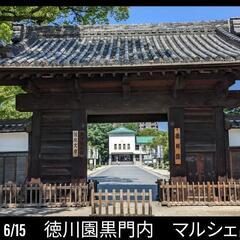 メダカ販売のお知らせ