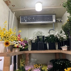 プレハブ冷蔵庫1.5坪「６月〜７月に引き渡し」の画像