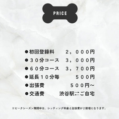 ペットシッターのライフウィズです。