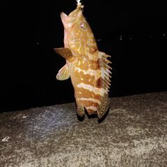 釣りに行こうー 初級～