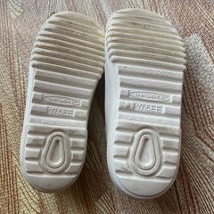 ひかりのくに　17.5cmの画像