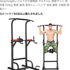 懸垂バー