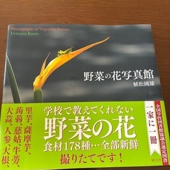 野菜の花　本　食育