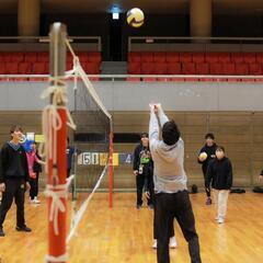 排球❗❗🏐