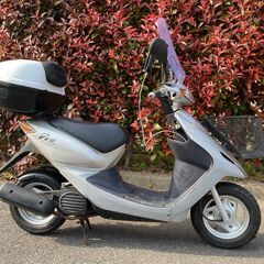 ホンダ Dio 50cc（AF-57）販売中 – カスタム多数