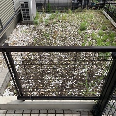 庭の石たちの画像