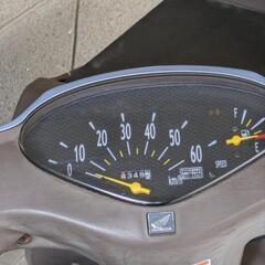 原付き ホンダディオチェスタの画像