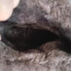 ムートン風ブーツの画像