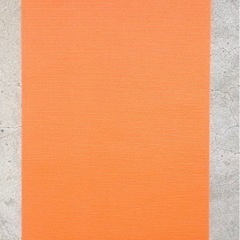 中古◆プリマソーレ◆ヨガマット◆コーラルレッド◆厚み4mmの画像