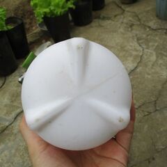 霧吹きの画像