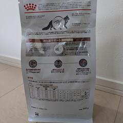 猫用ドライフード（食事療法食）ロイヤルカナンROYAL CANIN 消化器サポート可溶性繊維　500g キャットフードの画像