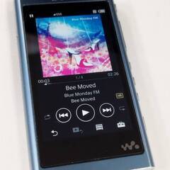 SONY ウォークマン Aシリーズ NW-A55/16GB