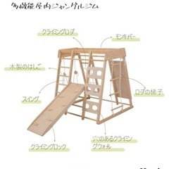 ジャングルジム　雲梯　うんてい　室内　遊具の画像