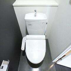 【港区★特集】都営三田線/三田駅 歩7分　ペット可1Kマンション⭐️オートロック 室内洗濯置、シューズボックス システムキッチン、南向き、角住戸 温水洗浄便座、エレベーター、洗面所独立 洗面化粧台、2口コンロ、駐輪場 - 不動産